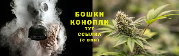 прущий лед Богородицк