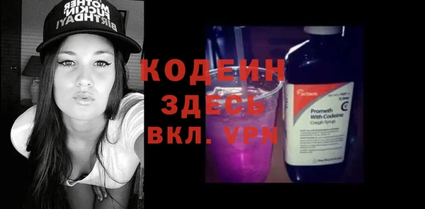 прущие грибы Новодвинск