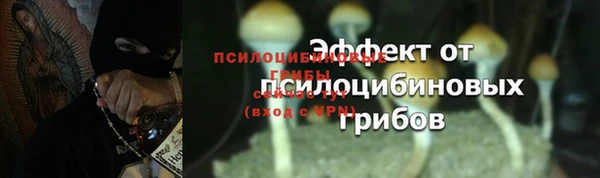 прущий лед Богородицк