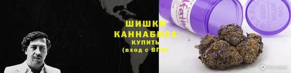 трава Богданович